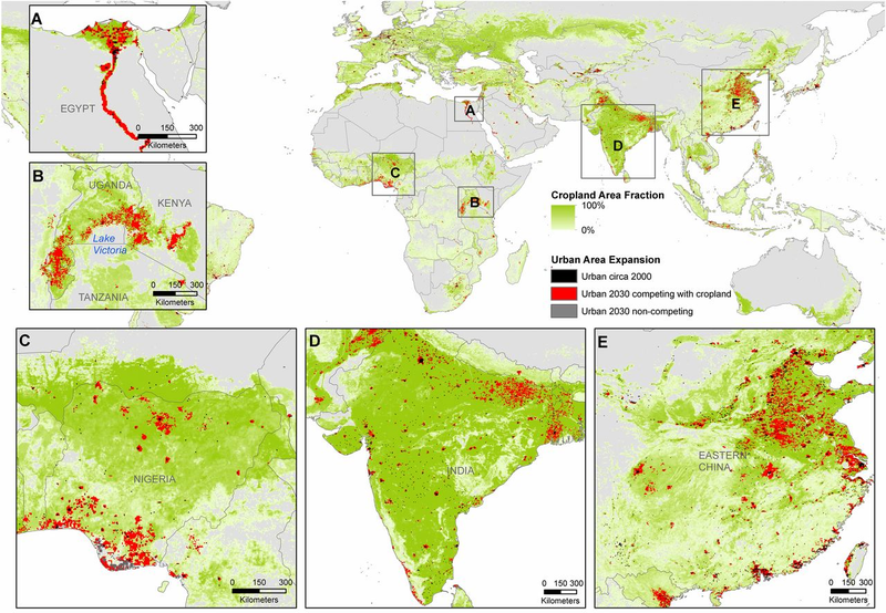 Red denotes places where expanding urban areas will compete with farmland. Image: Creutzig et. al, PNAS